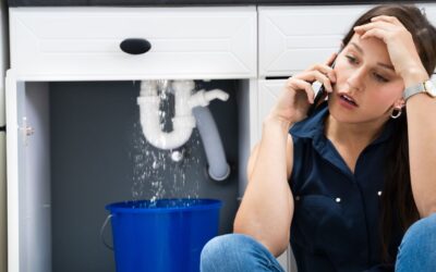Common Plumbing  issues in Durban: A Homeowner’s Guide