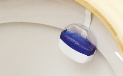 10 Common Causes of a Blocked Toilet and How to Fix Them