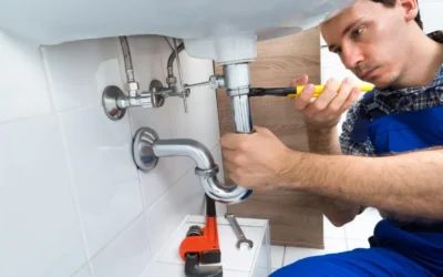 A Comprehensive Guide to Pipe Replacement and Repair