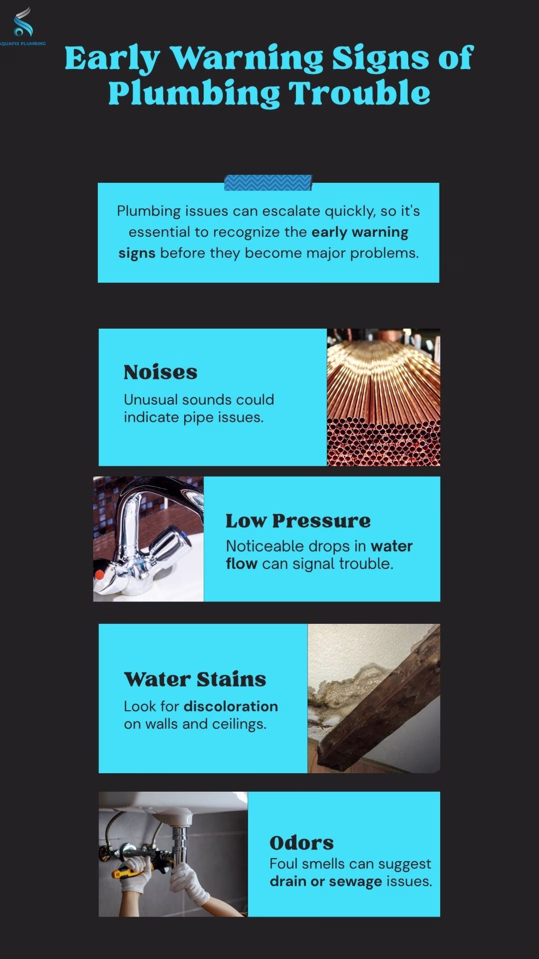 Infographic - Early Warning Signs of Plumbing Trouble in emanzimtoti